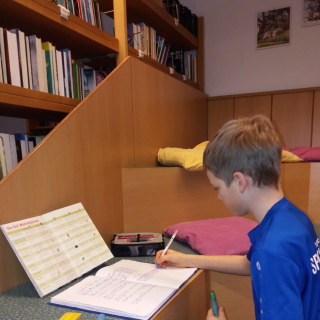 Sachbuchprojekt der 1. Klassen in der Bücherei - MSLA